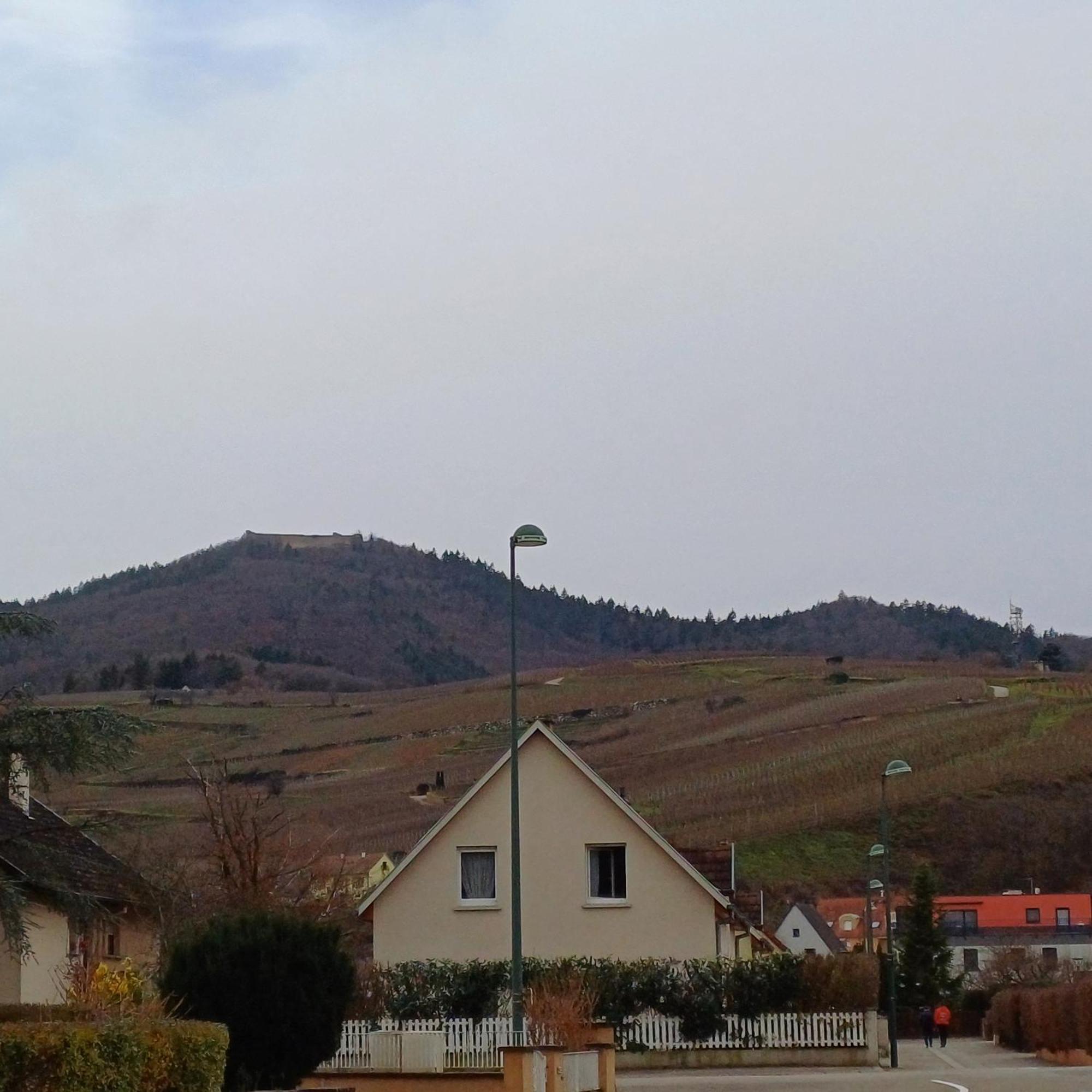 Les Vignobles D'Alsace Otel Wintzenheim Dış mekan fotoğraf