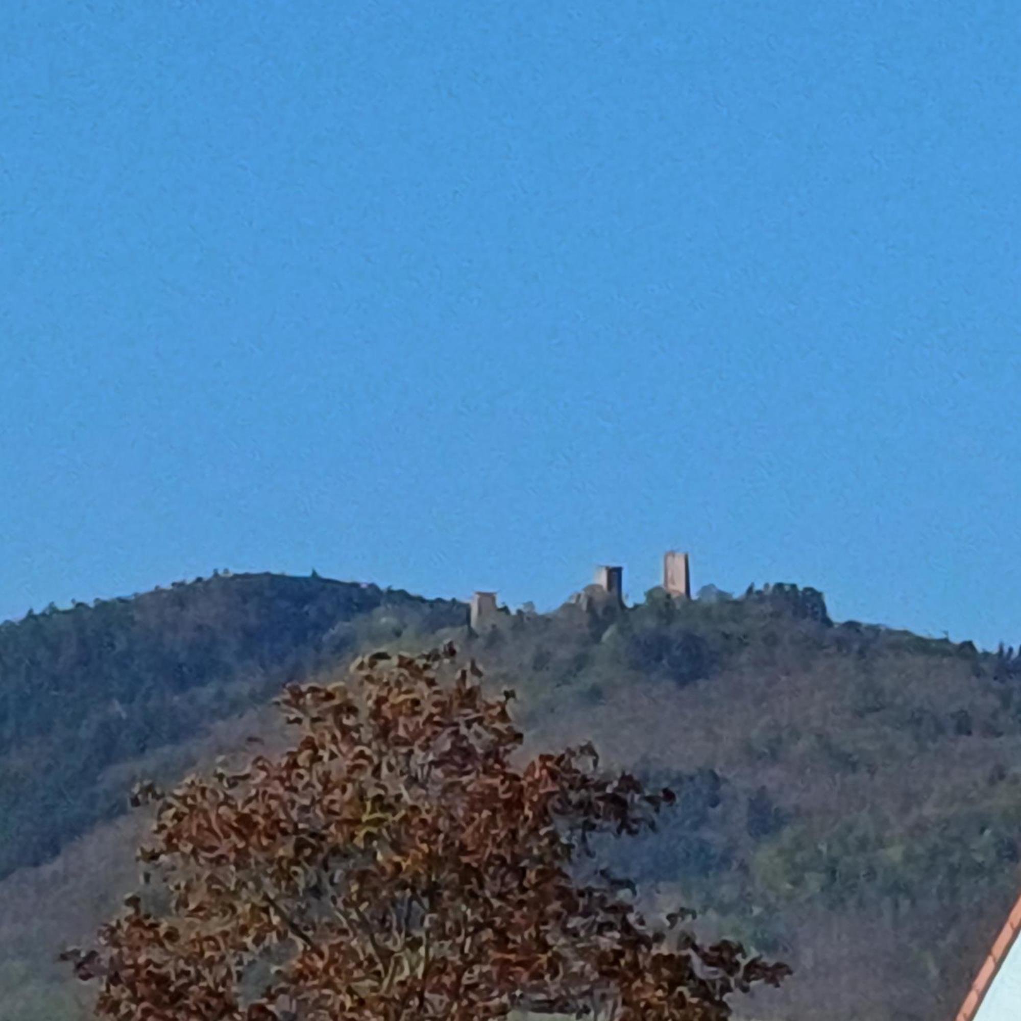 Les Vignobles D'Alsace Otel Wintzenheim Dış mekan fotoğraf