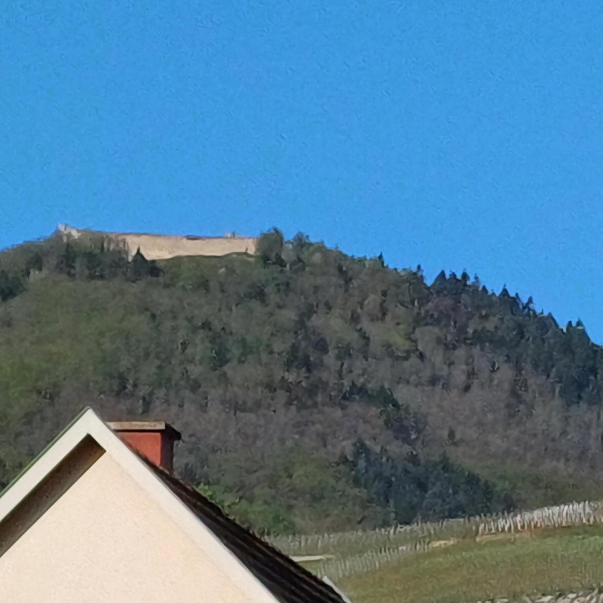 Les Vignobles D'Alsace Otel Wintzenheim Dış mekan fotoğraf